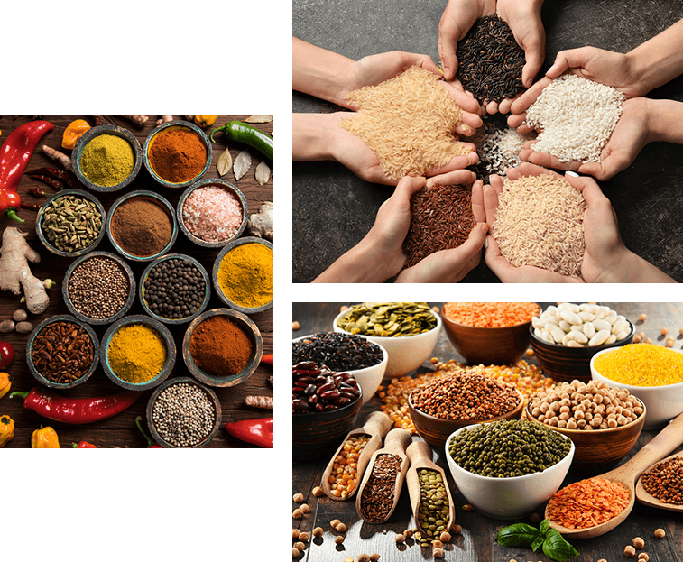 Rice and Spice Distributor